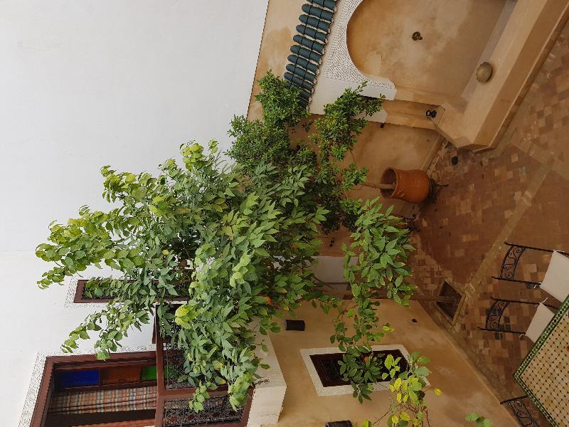 فندق Dar Rania مراكش المظهر الخارجي الصورة